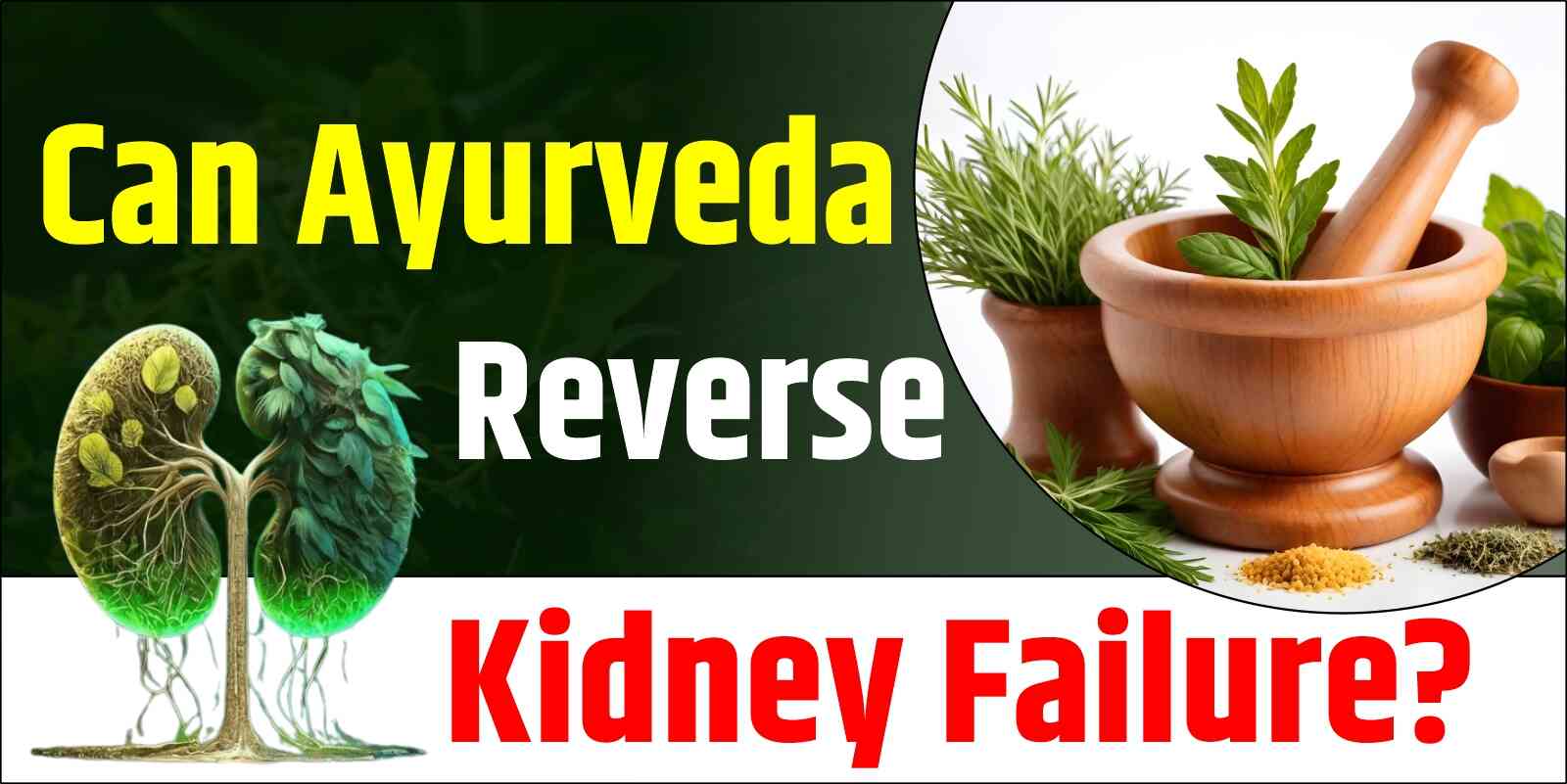 Can Ayurveda reverse kidney failure?